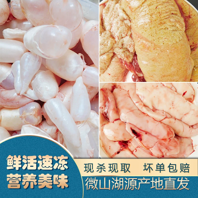 鱼泡 新鲜鱼子鱼籽冷冻鲤鱼鱼杂鱼油鱼白1斤2斤3斤包邮坏单包赔