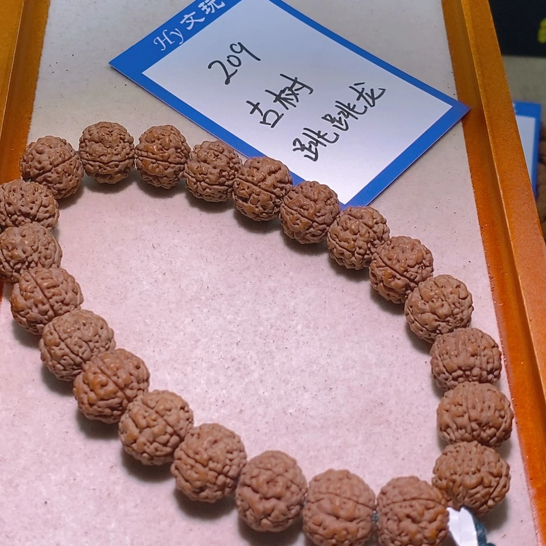 手串金刚菩提209古树龙珠15
