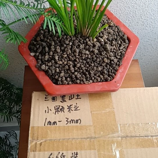 晴***阳兰菌黑山土小颗粒6.6斤