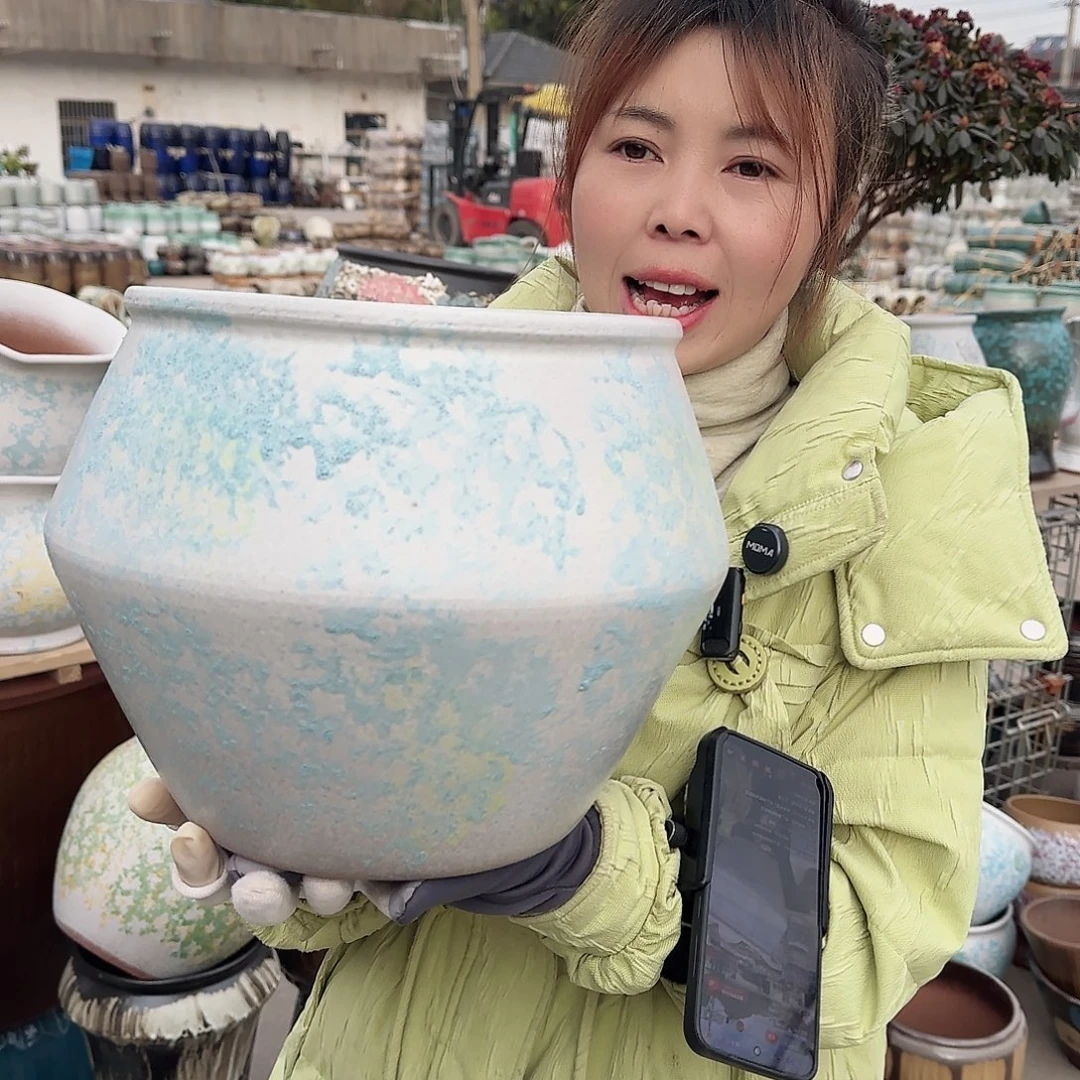 王嫂花盆直播1204-395高23口24