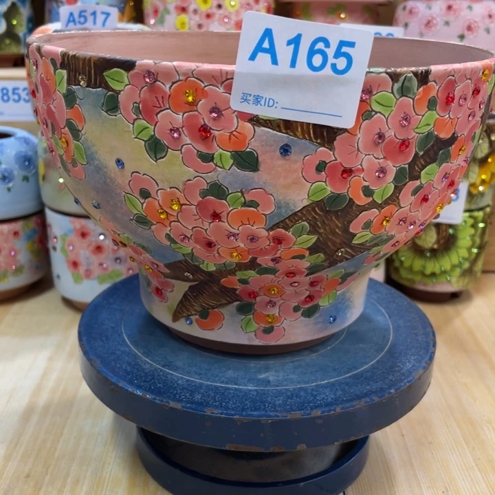 多肉花盆特价福利