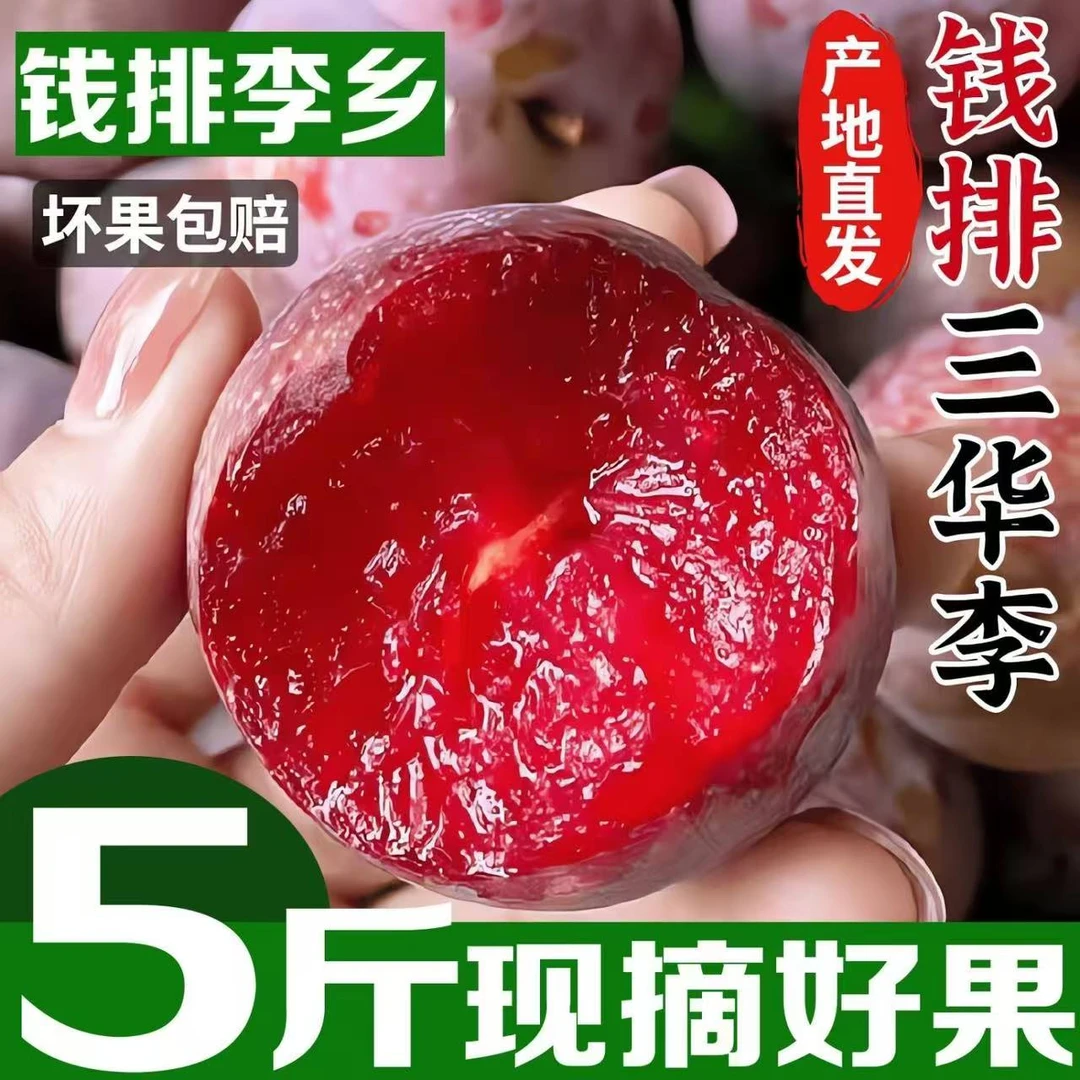 【顺丰次日达】广东红心三华李子新鲜水果现摘现发酸脆嫩孕妇水果净重5斤特大果广东省包邮同城配送广东省