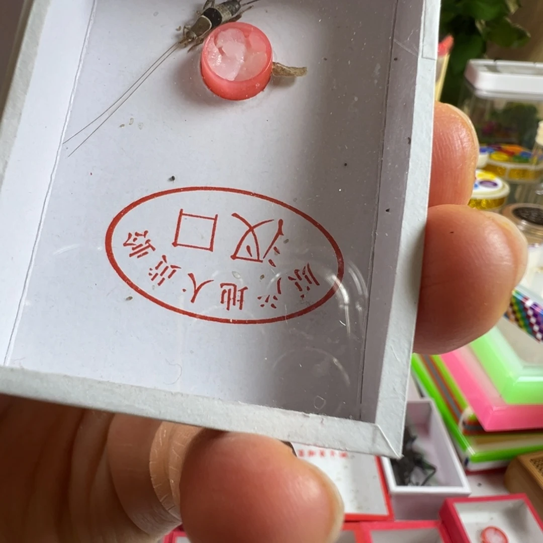 蟋蟀一只水墨仙子漂亮