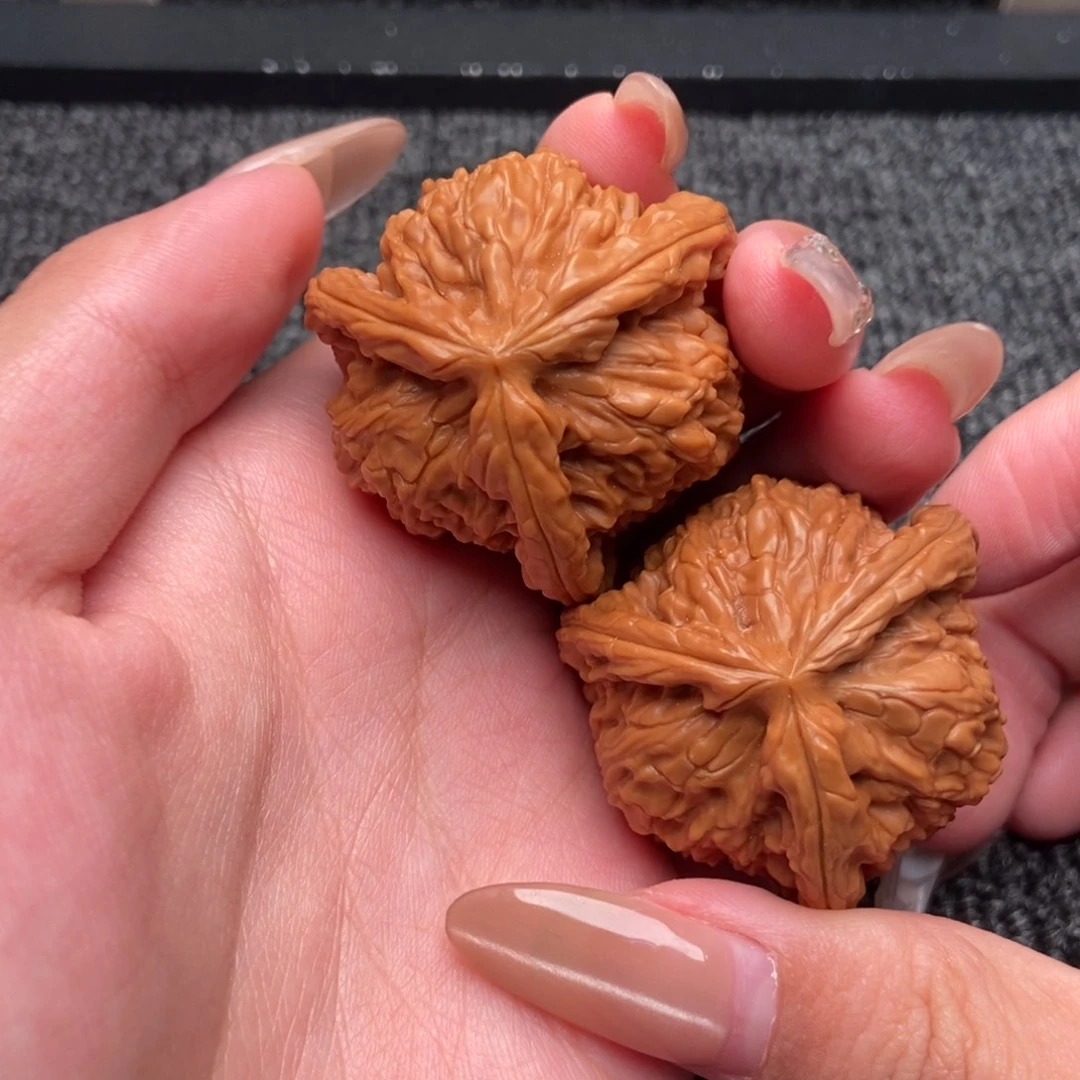 王***木质类白狮子正奔