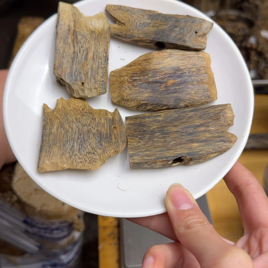 沉香沉香碎屑白棋品种块料50克