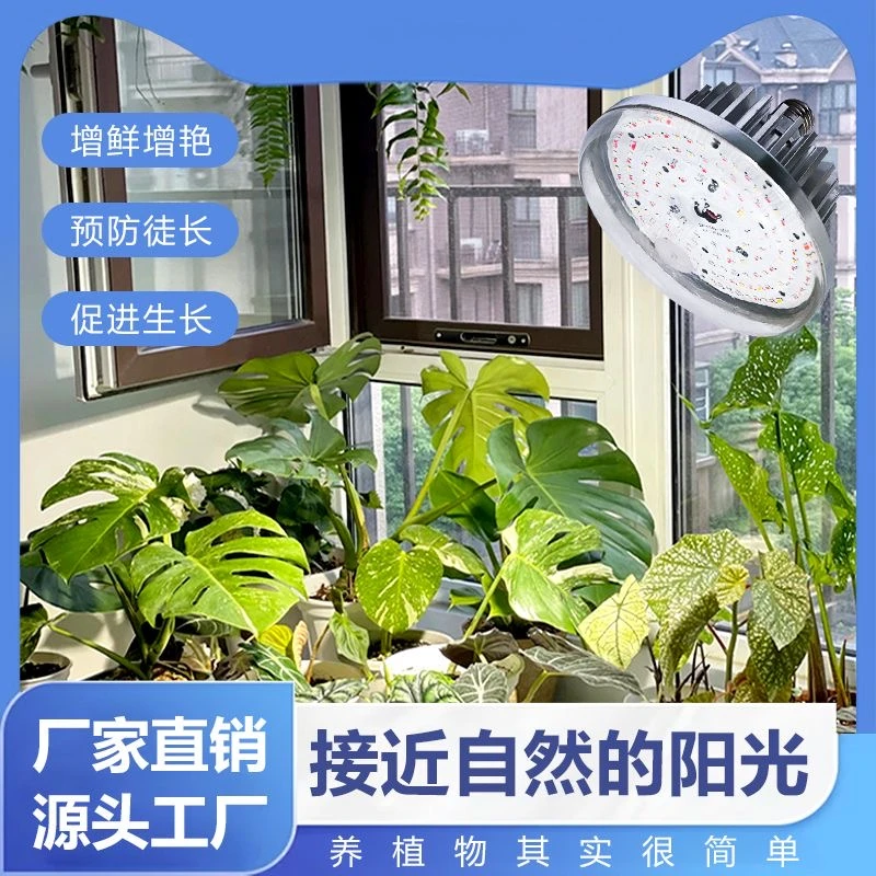 全光谱仿太阳能光积水凤梨花卉育苗室内多肉植物灯植物补光灯
