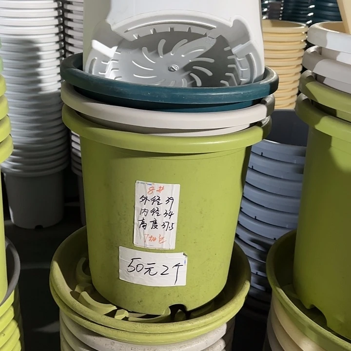 微瑕8#口径39无托果绿3个