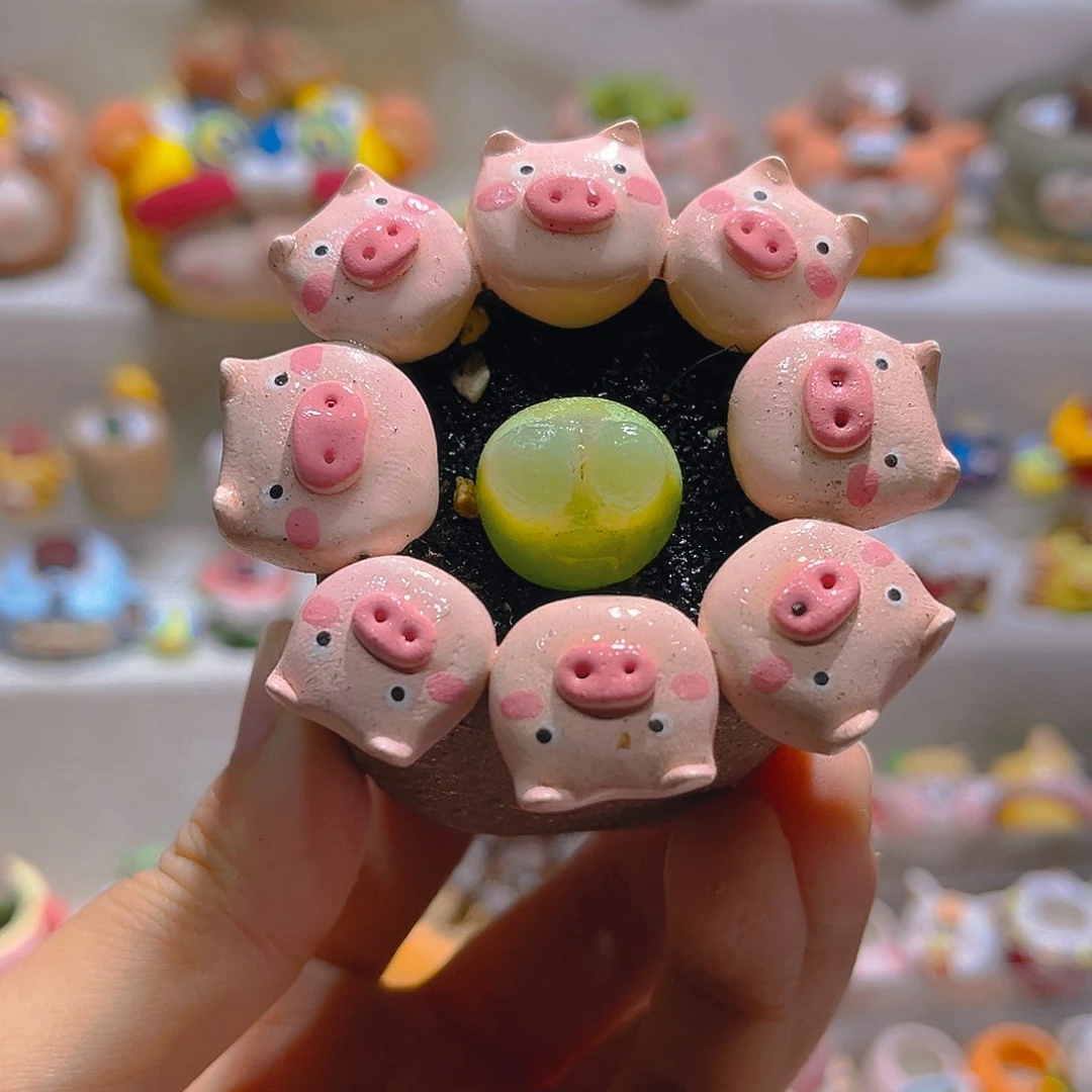 017拉登2厘米带盆土一套138