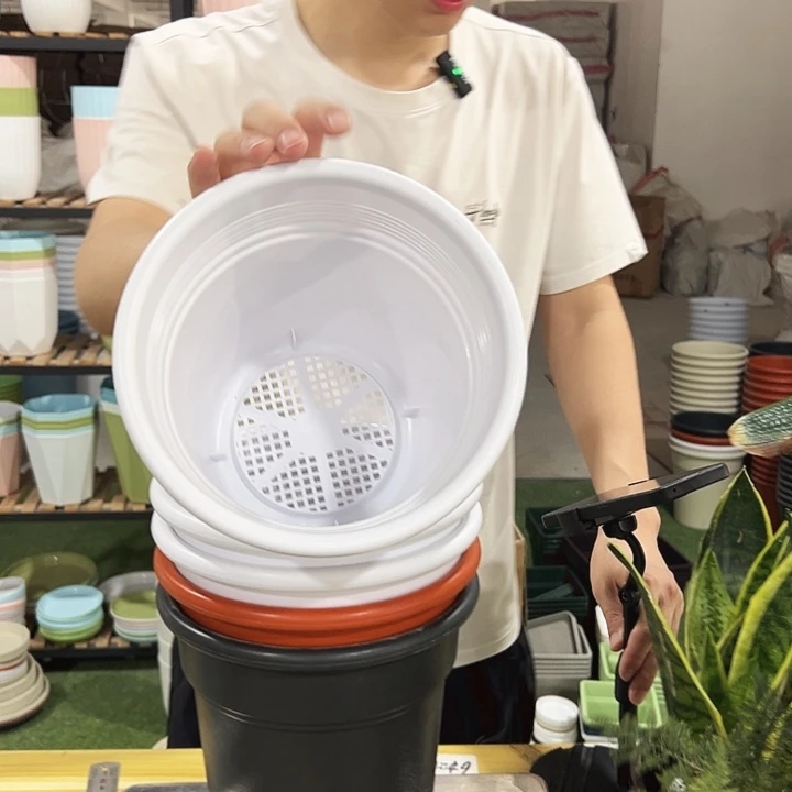 翻边10口21高22混色无托5只