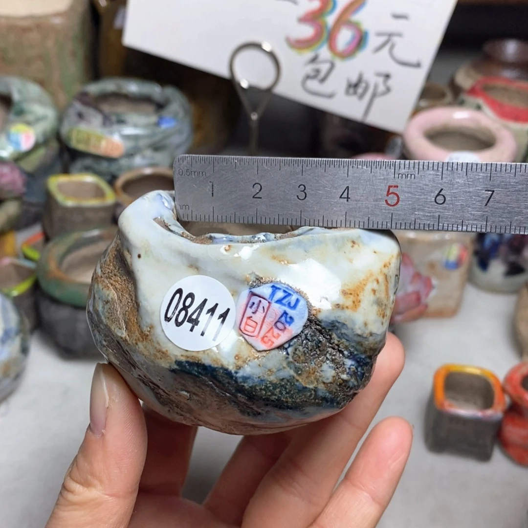 花盆拍1送一个小礼物