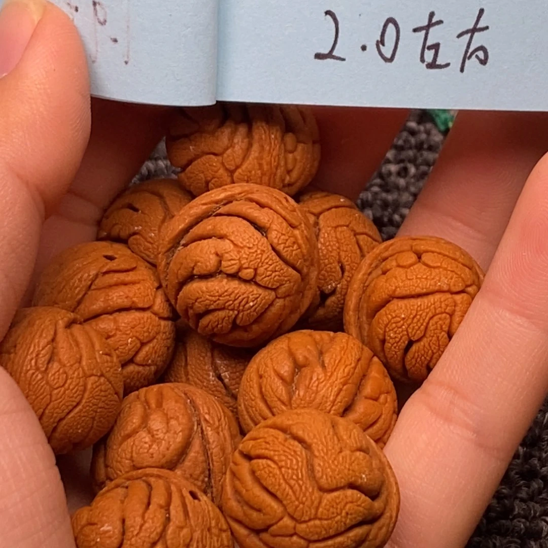 秦岭山脉龙纹桃核单圈