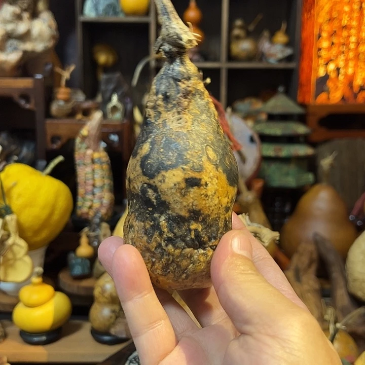 龍***海大叶紫檀（黑酸枝木类）