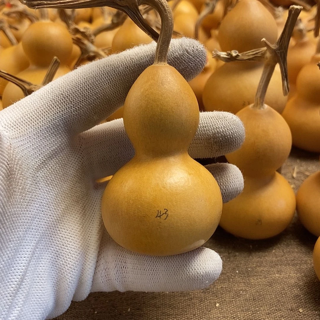 文玩葫芦 完美主义者 慎拍43