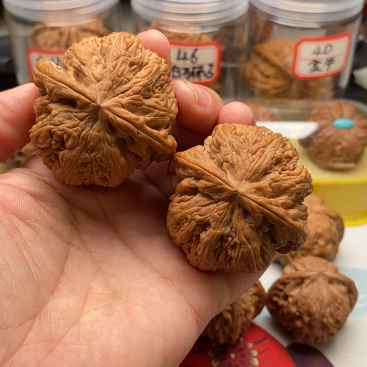 文玩核桃吊坠磐****）粗筋