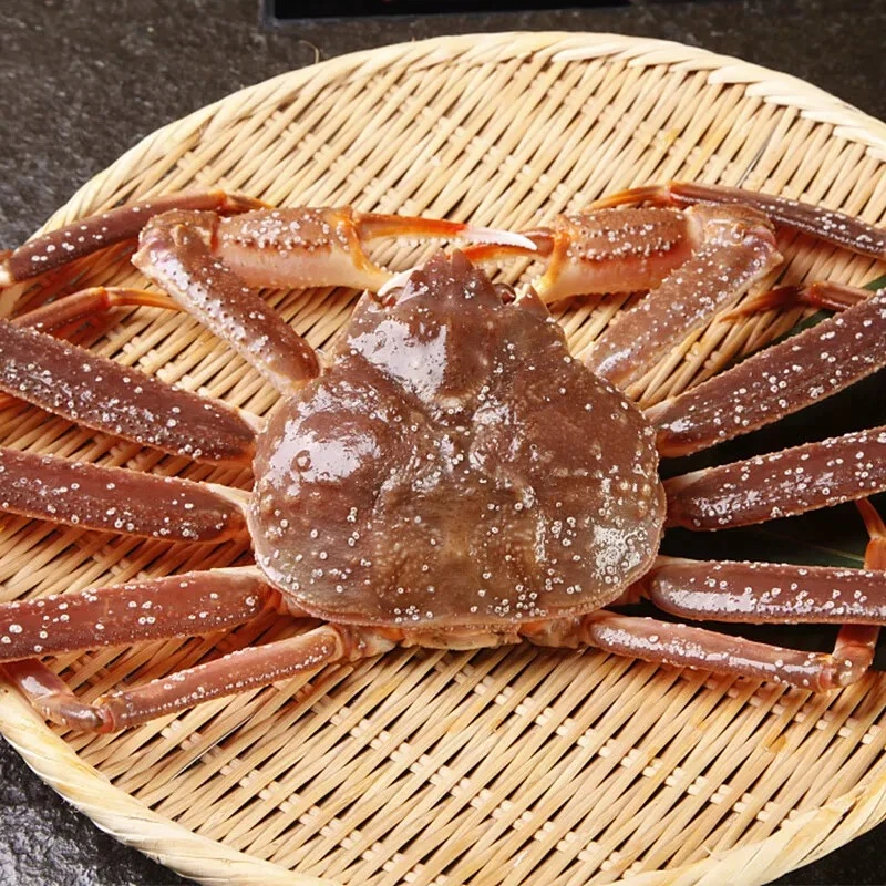 松叶蟹进口冰鲜长脚蟹俄罗斯特大板蟹雪蟹腿大螃蟹