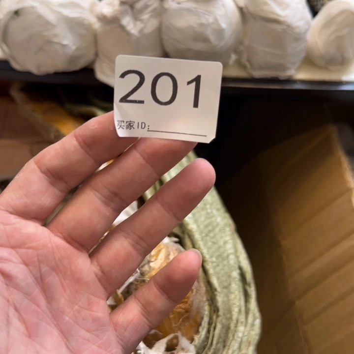 ****幻兜星球仙人球201号