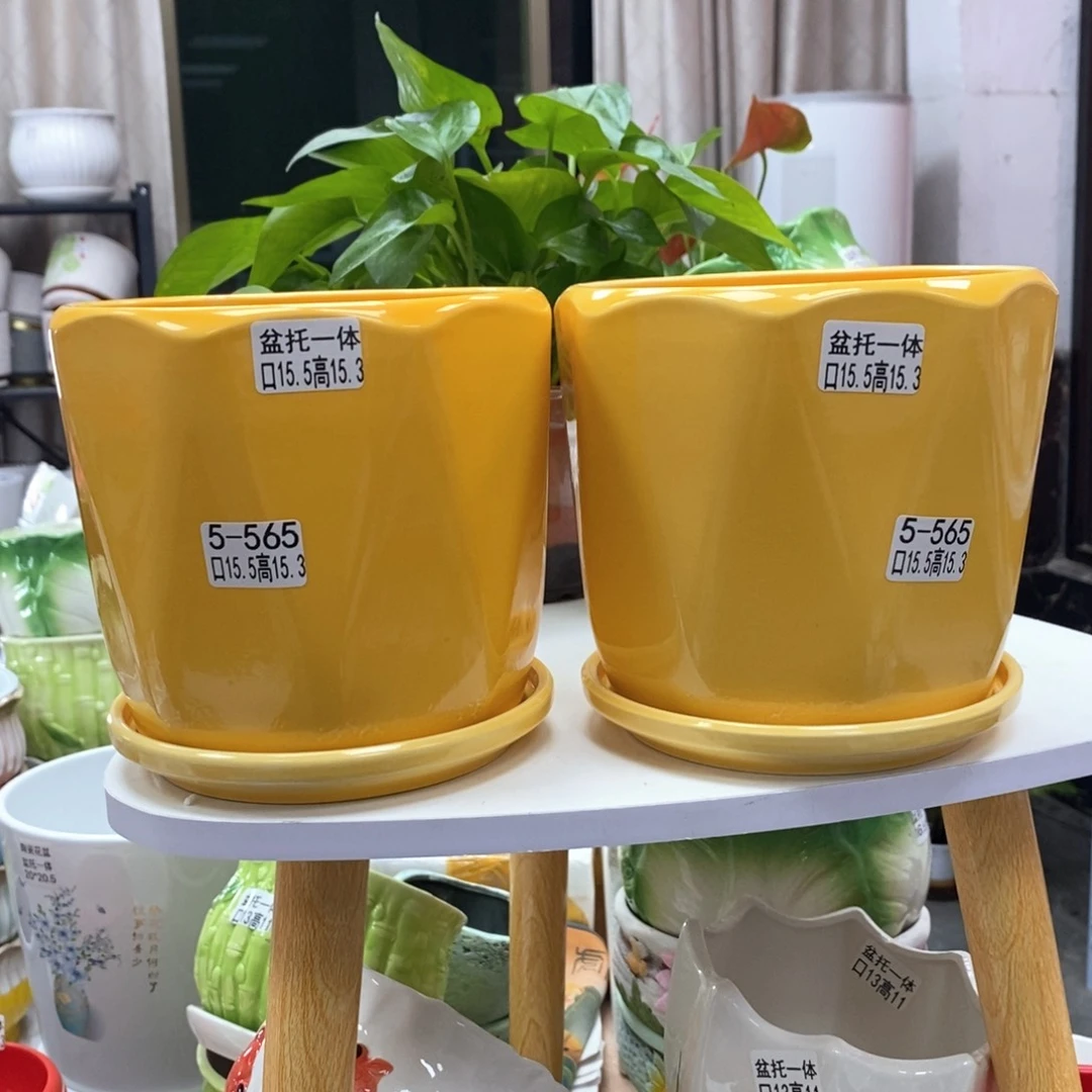 陶瓷@陶瓷花盆@@5566