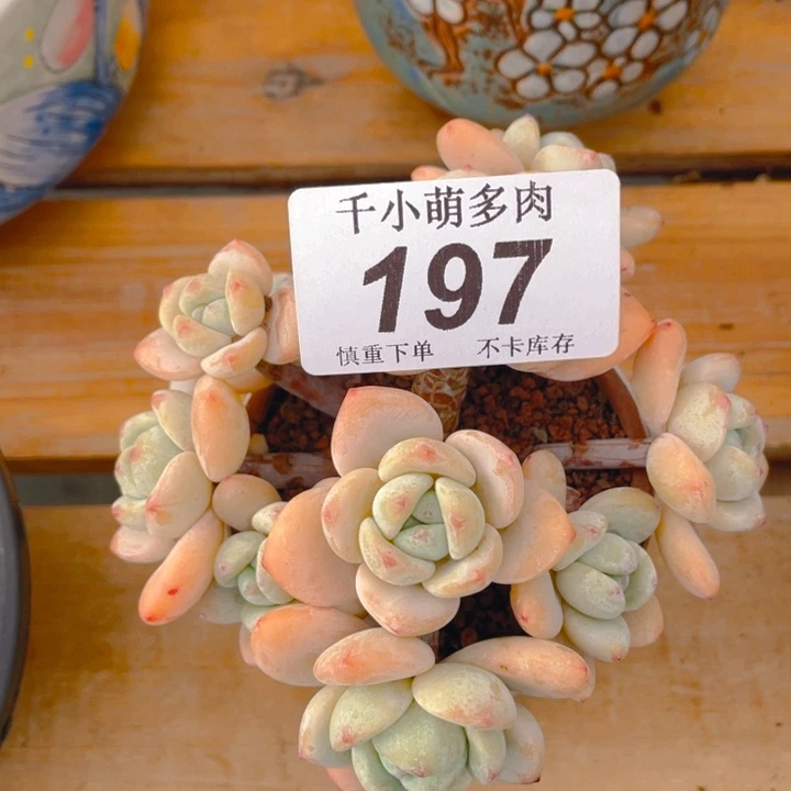 ?****ぷ谢谢你的支持0000000197