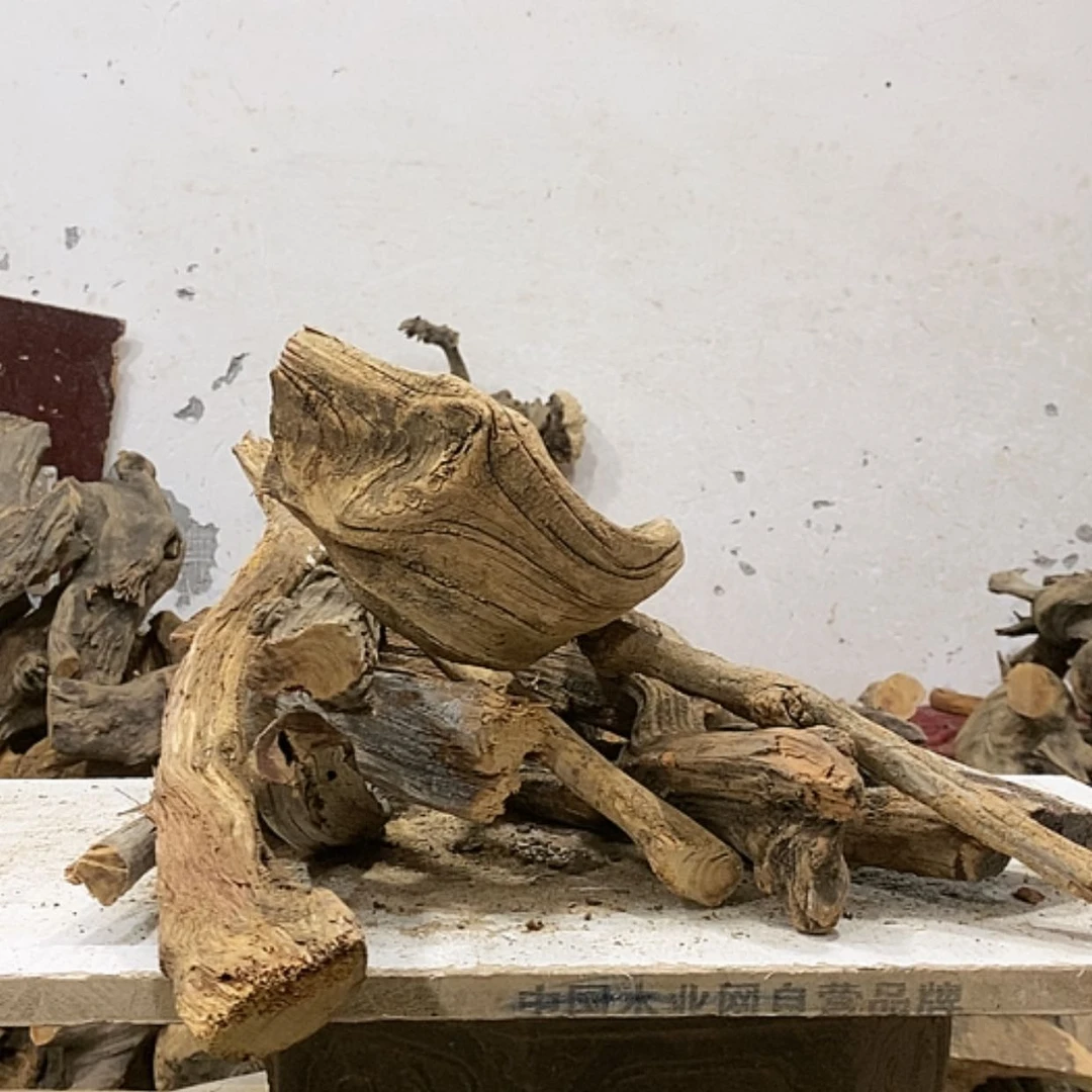 【闪购商品】柏木A****能我们都是好孩子