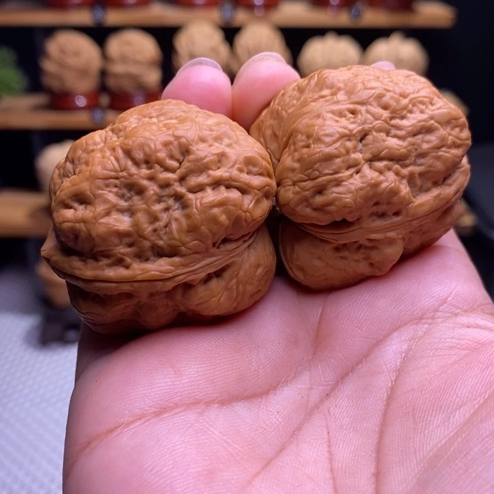 木质类云铁平头蟾49号