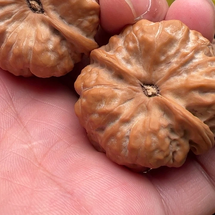 →***←文玩核桃文玩核桃