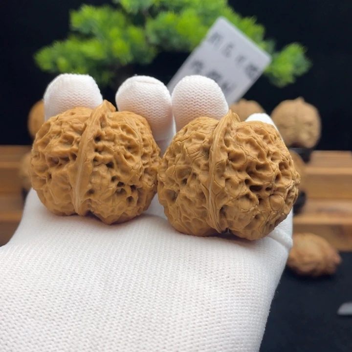 文玩核桃把件云南铁核桃7-3