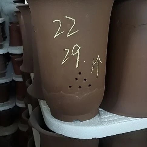 莲花金钟一个花盆