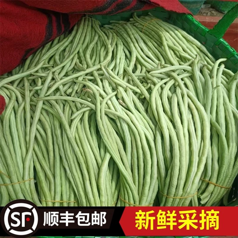 【顺丰包邮】新鲜采摘采摘甜豆角大肉豆角长豆角产地直发四季豆蔬菜