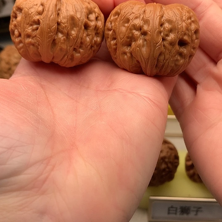 吊坠文玩核桃41尺精品元宝723号