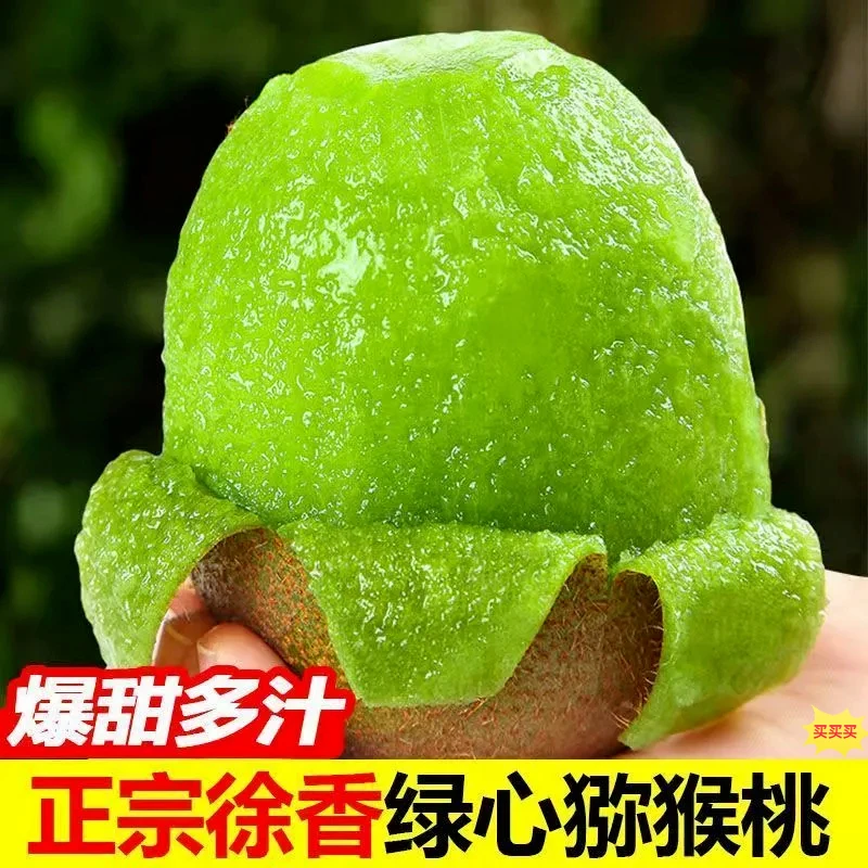 【放软食用】陕西徐香猕猴桃绿心新鲜水果现摘产地直发当季奇异果