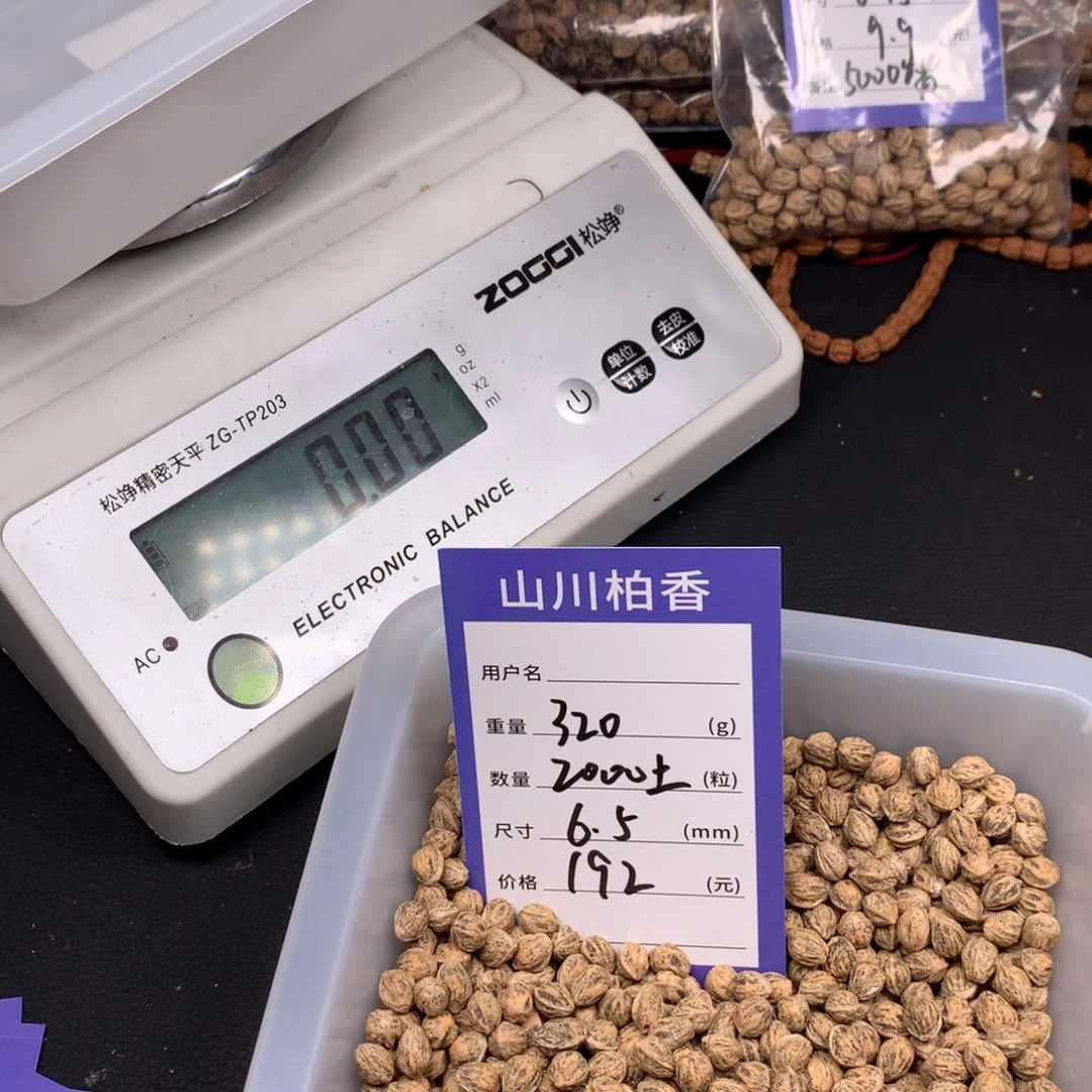 柏香籽/百香籽吊坠