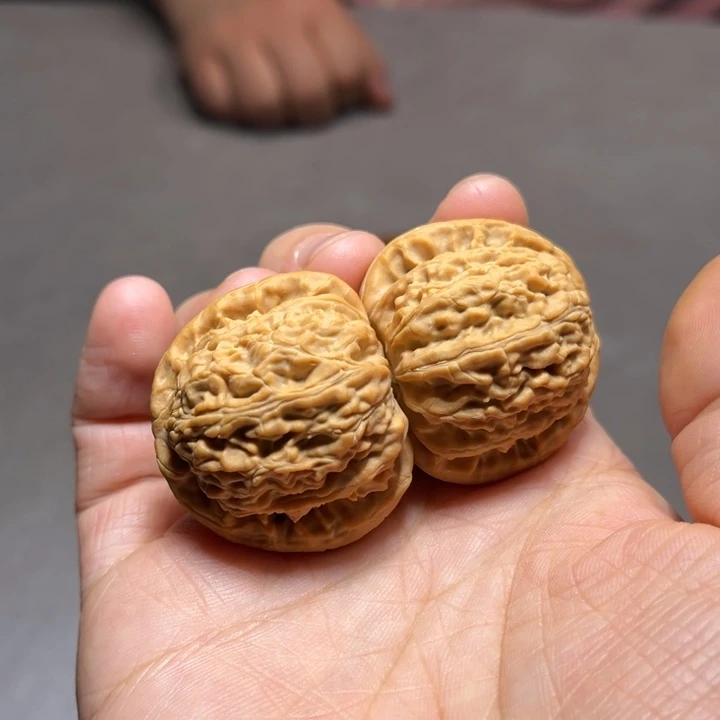 文玩核桃把件白狮子8576