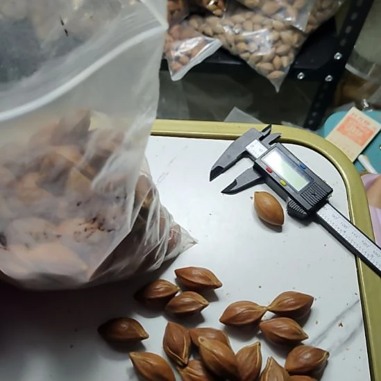 巷***角吊坠橄榄核牛头核散籽