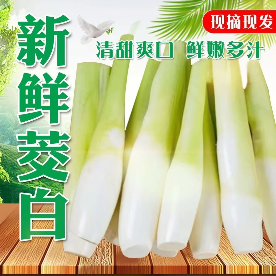 2025头茬本地新鲜水果茭白茭瓜高笋茭白带壳3斤【现摘现发】