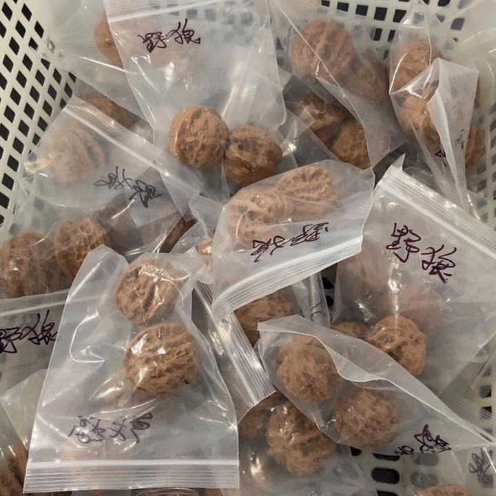 吊坠文玩核桃野狼瑕疵