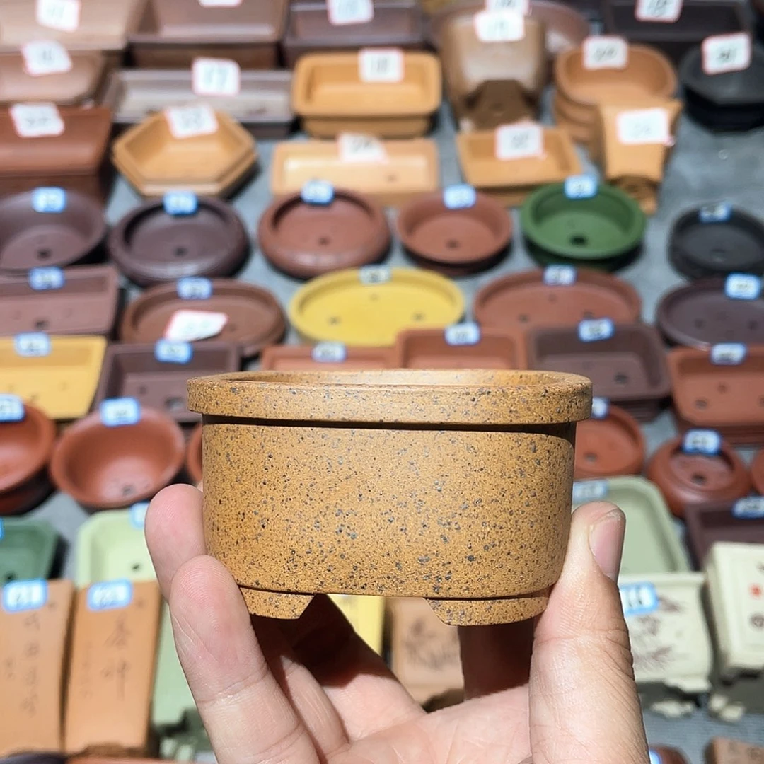 紫砂小盆7*3cmmmmm