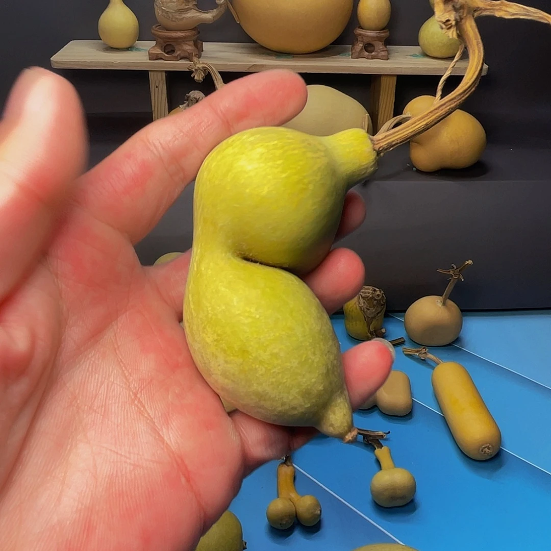 锋***哥木啊啊啊啊啊啊啊