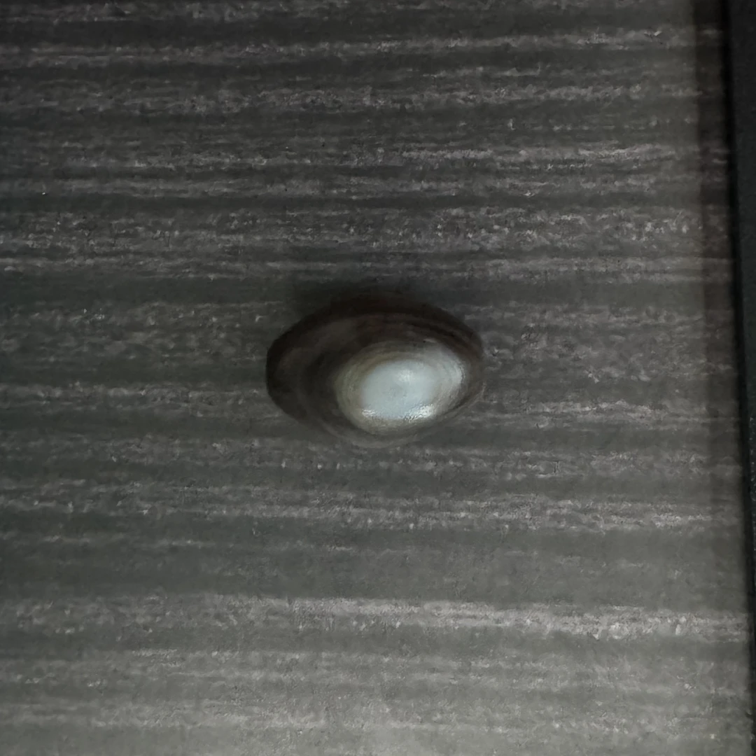藏式玛瑙单珠/1127