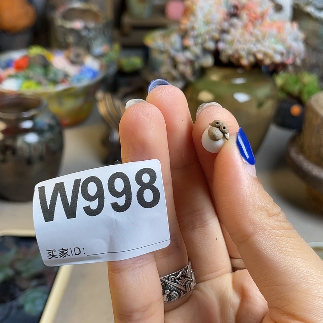 泗***木哈哈哈哈哈哈哈哈哈哈哈哈