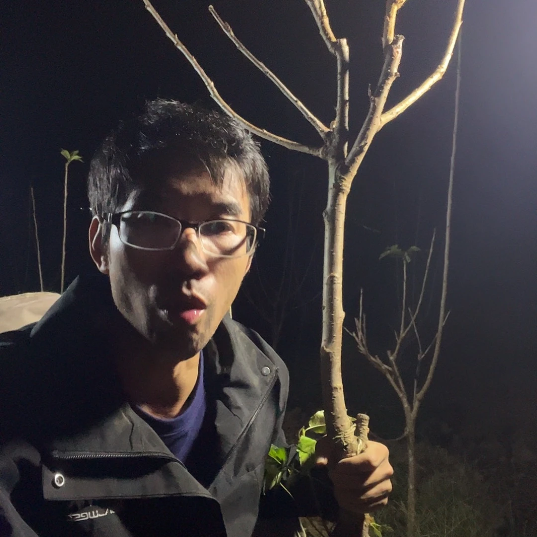 当前无花栽培后可以开花20