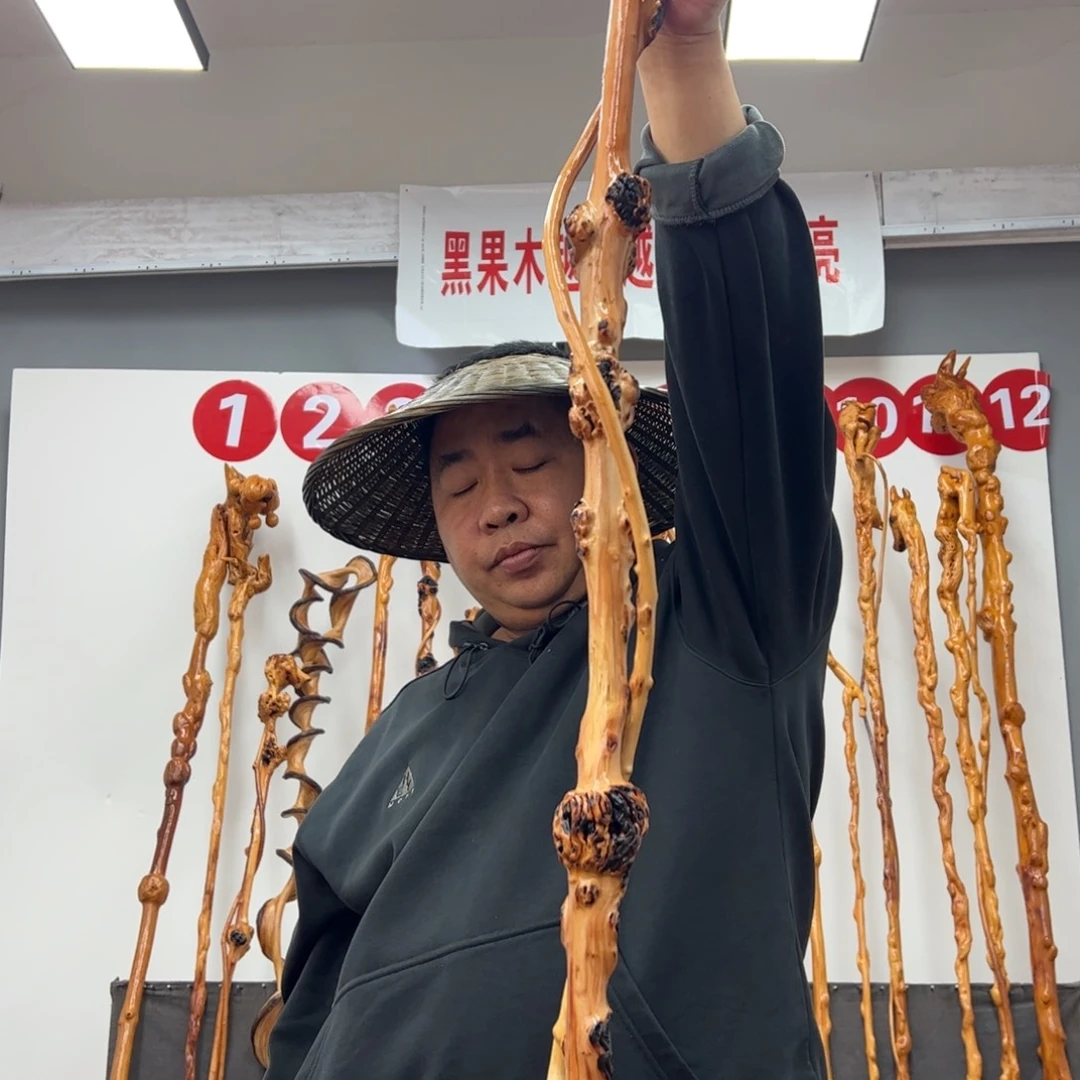 黑果木其他随**然黑果木780