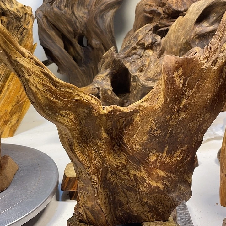 天***鹰木直播间一物一拍