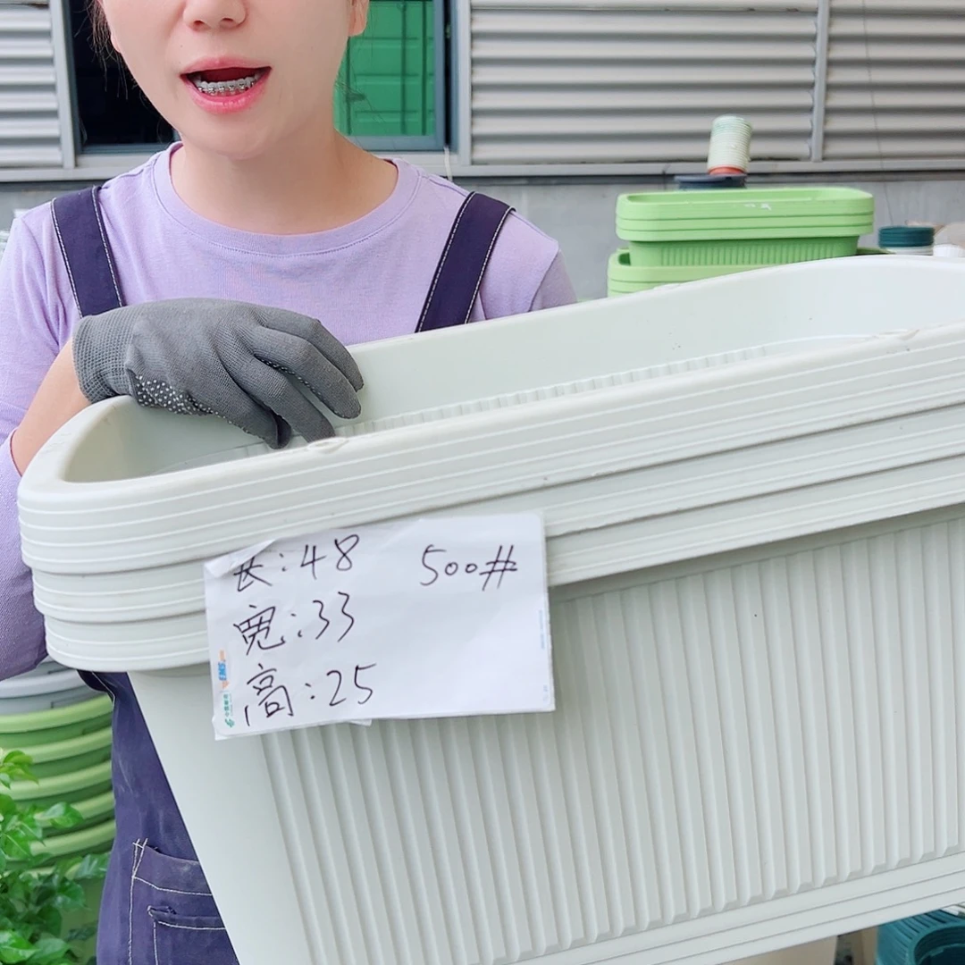 菜盆500#米白4个无托