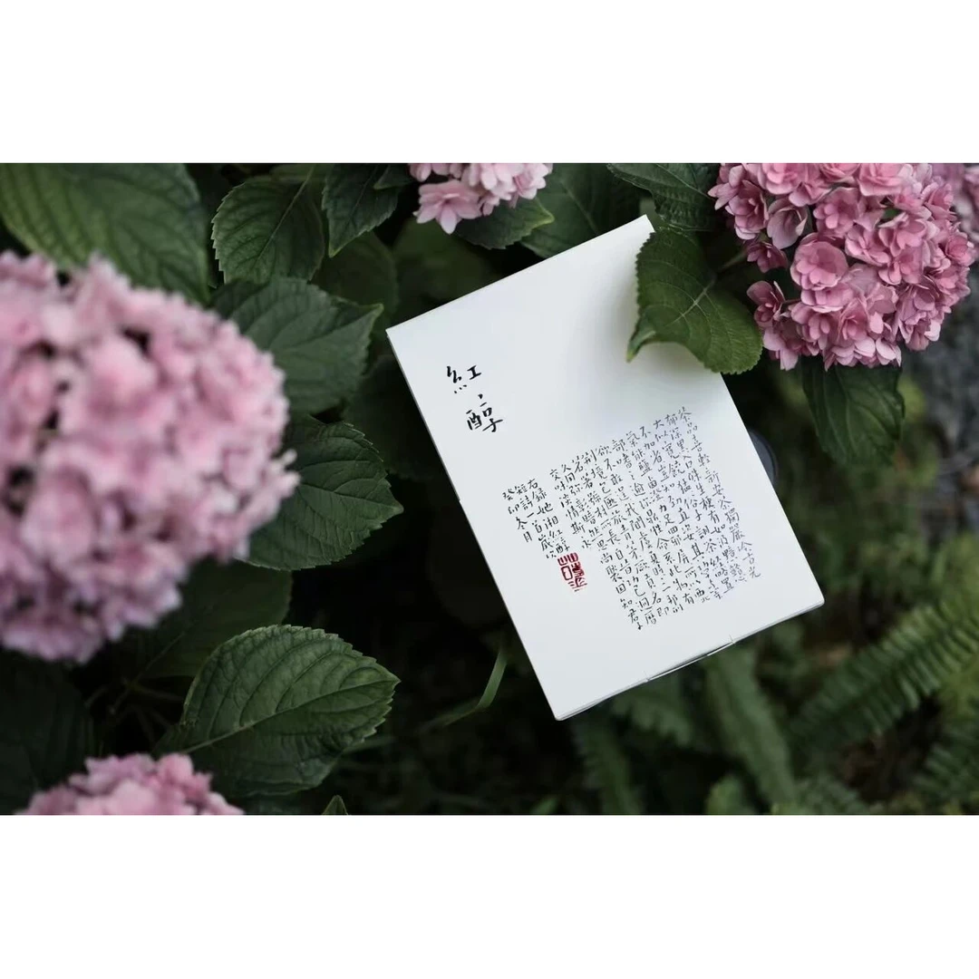 纳兰-2009红醇56g 安化黑茶