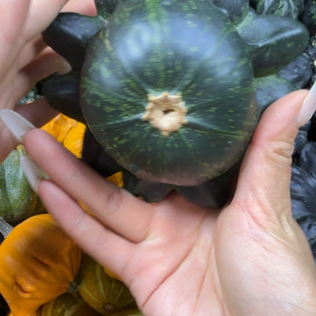 禅***味饿哦饿哦饿哦饿哦饿哦