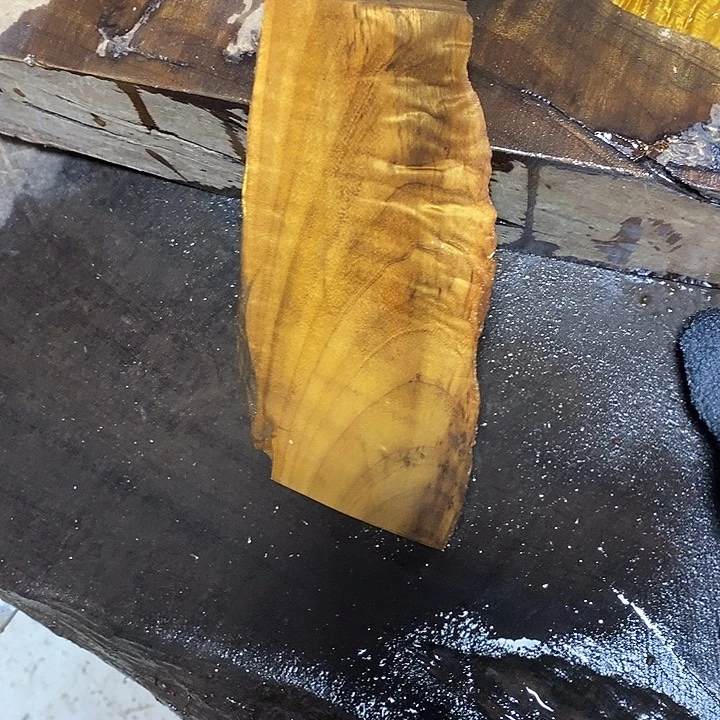 楠木金丝楠木小叶