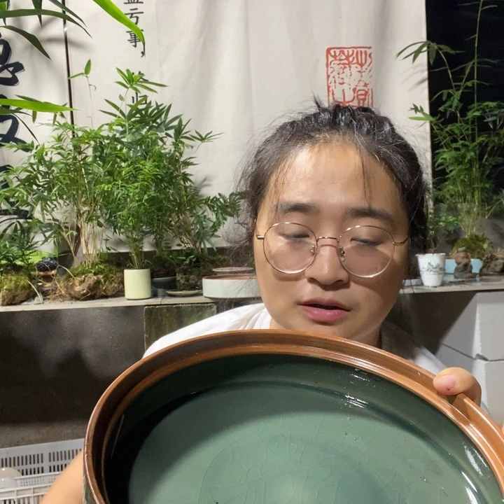 *****无花朵一物一拍219