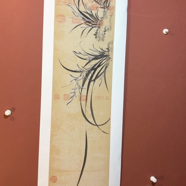 国画听兰老师花鸟