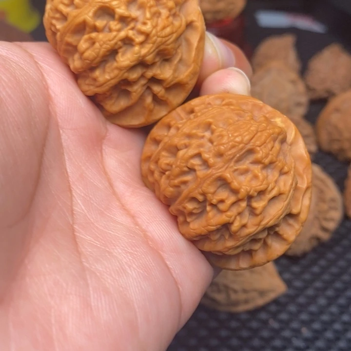 秦岭野生111111111