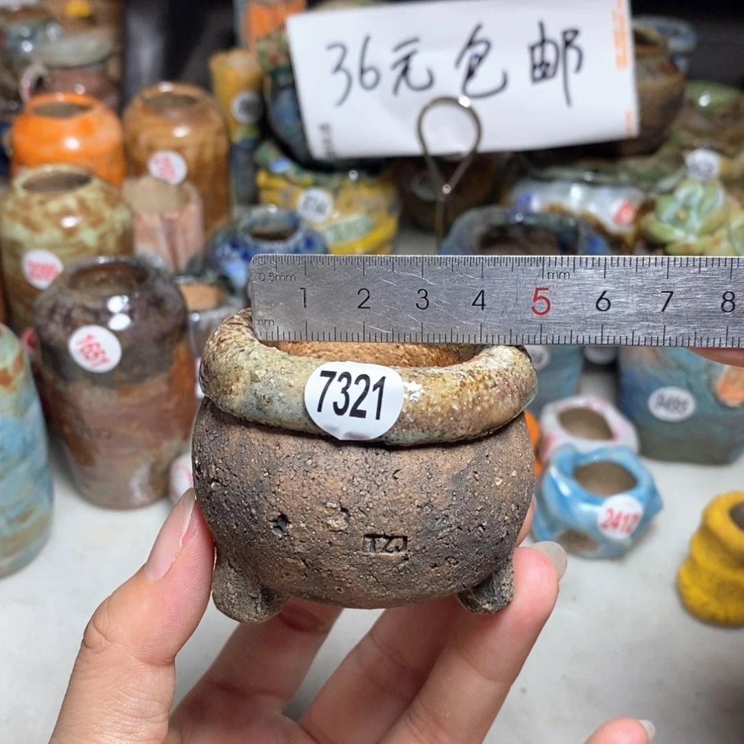 拍3送一个小礼物